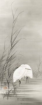 Teli mintás női trikó ( Ohara Koson - Egrets in a Swamp )