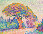 Rövid szabású női kapucnis melegítőfelső ( Paul Signac - The Pine Tree at Saint Tropez )