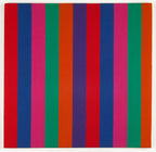 Rövid szabású női kapucnis melegítőfelső ( Alexander Girard - Jacob’s Coat )