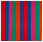 Teli mintás hosszú ujjú póló ( Alexander Girard - Jacob’s Coat )
