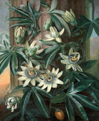 Fehér vászontáska fekete fogantyúval ( Philip Reinagle - Blue Passion Flower)