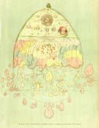 Hosszú női ruha ( William Griggs- A Burmese map of the world)