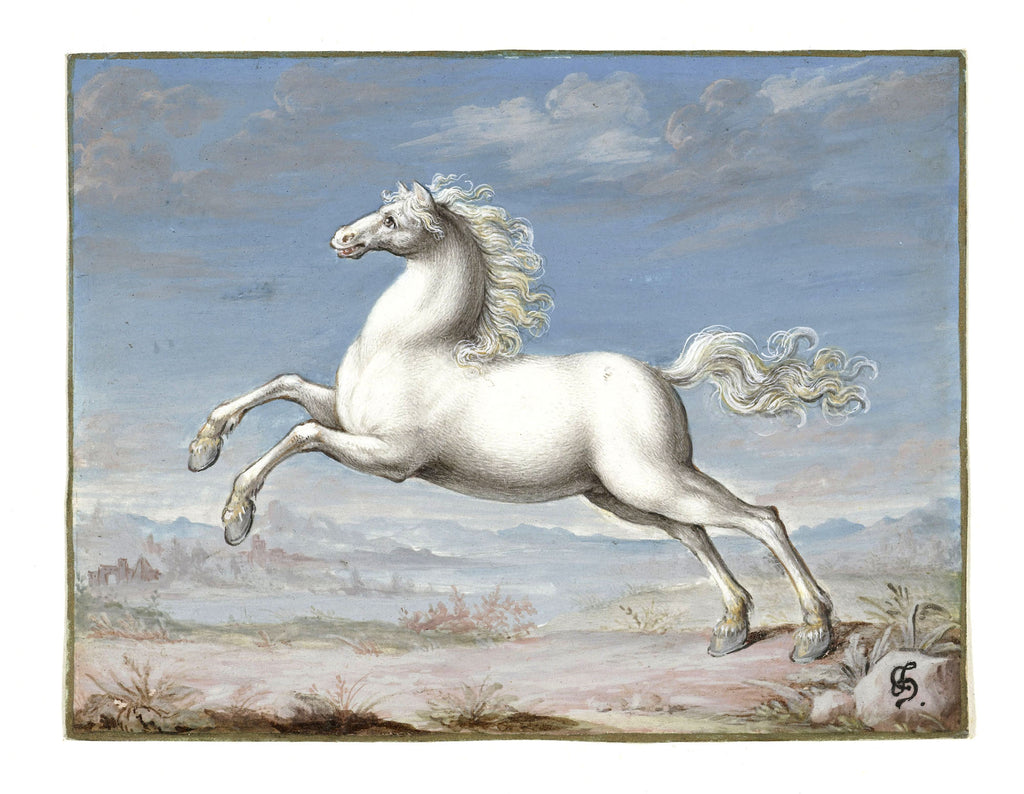 Női crop top ( Joris Hoefnagel- White Horse )