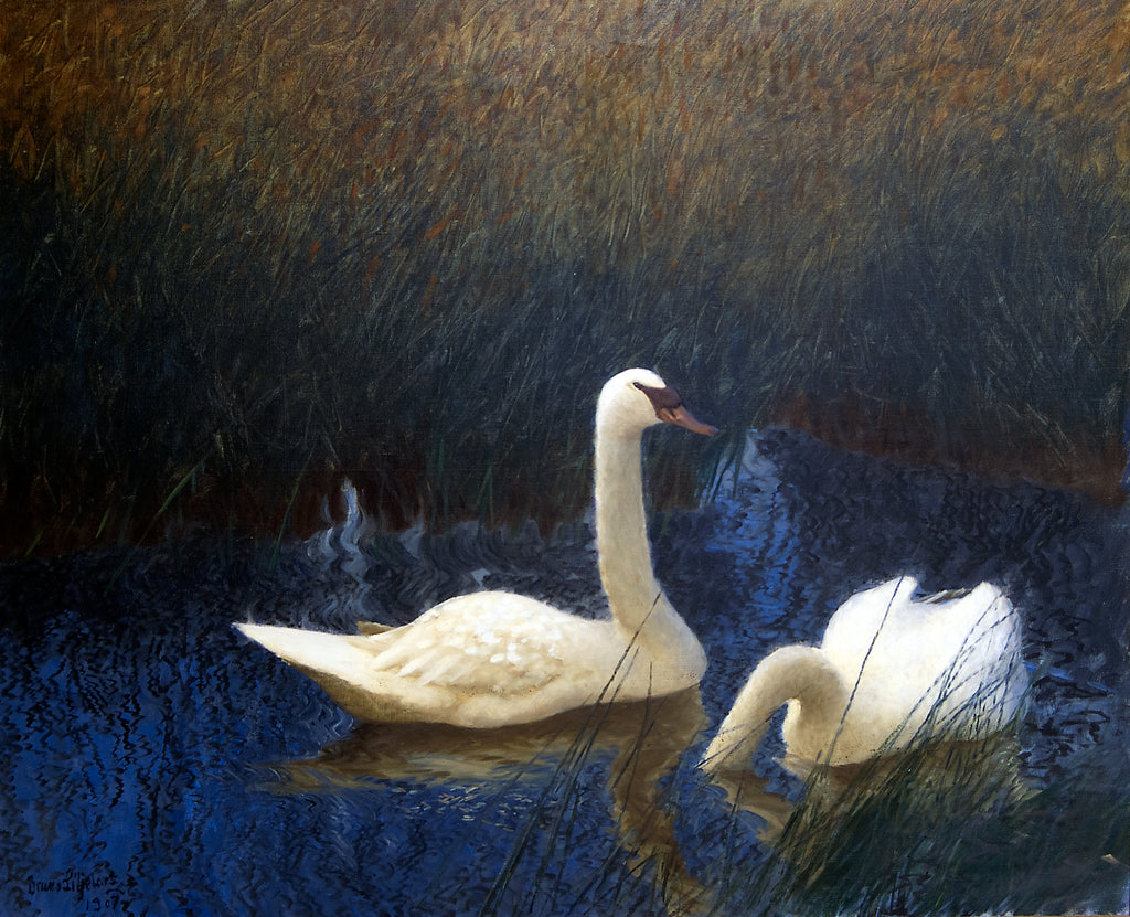 Női trikó (Bruno Liljefors- Swans in Reeds)