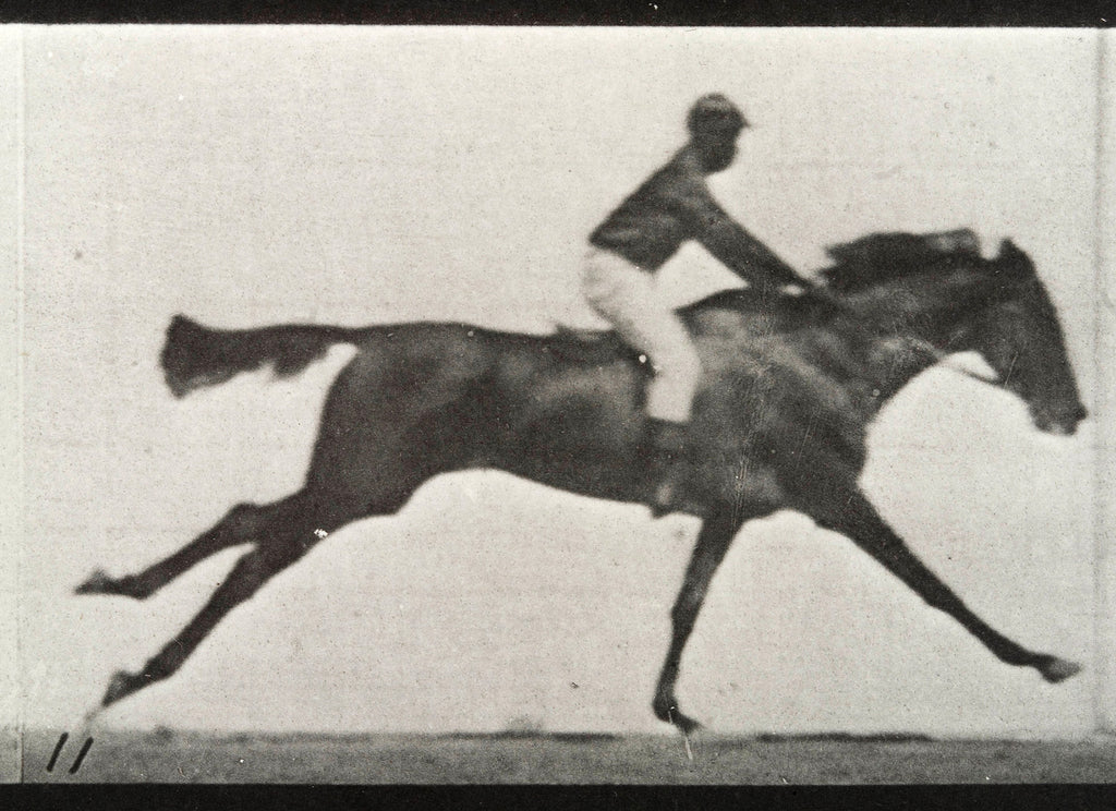 Modern stílusú hátizsák laptop zsebbel (Eadweard Muybridge - A galloping horse and rider)