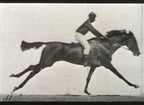 Modern stílusú hátizsák laptop zsebbel (Eadweard Muybridge - A galloping horse and rider)