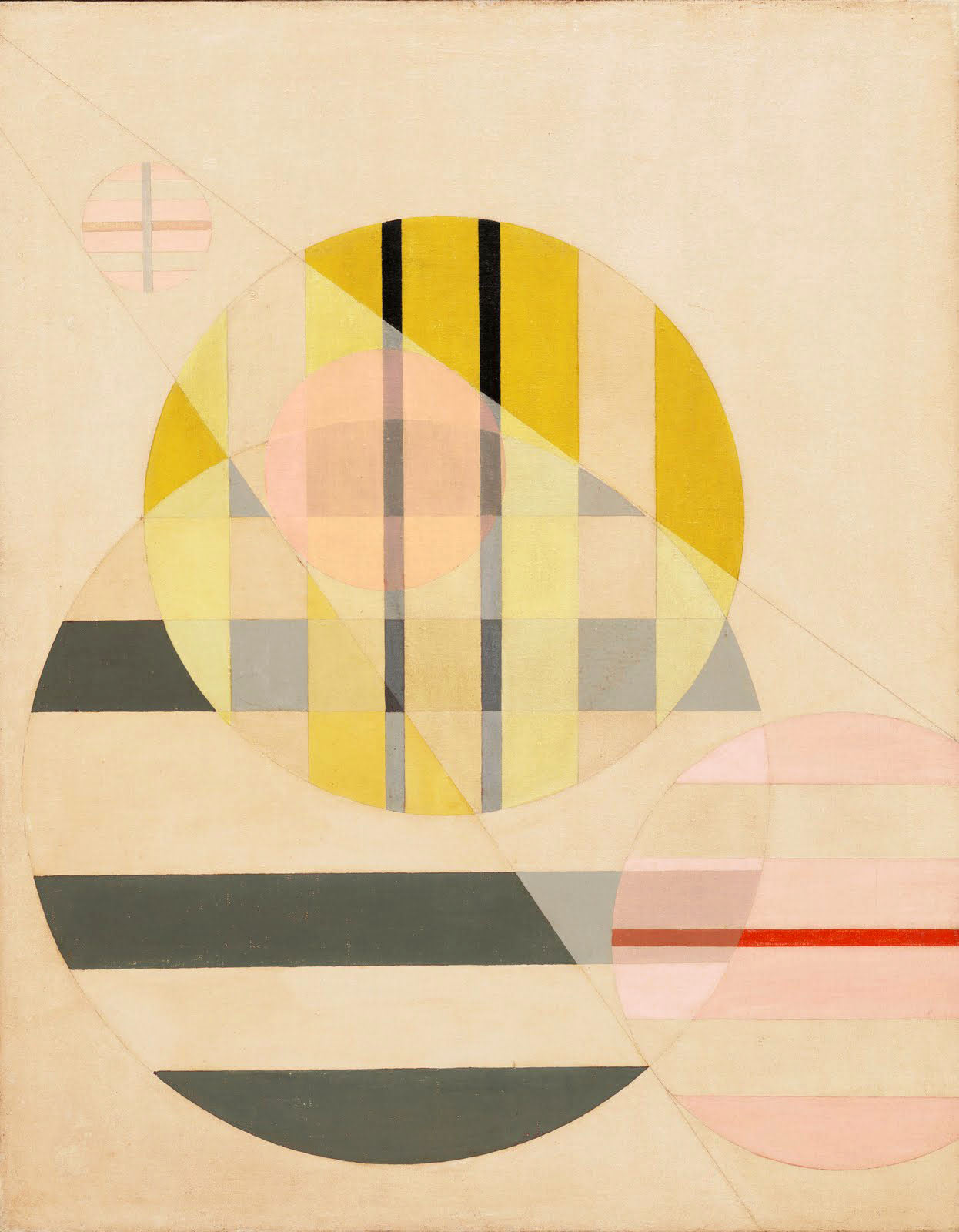 Rövid szabású női kapucnis melegítőfelső ( László Moholy-Nagy - Z II )